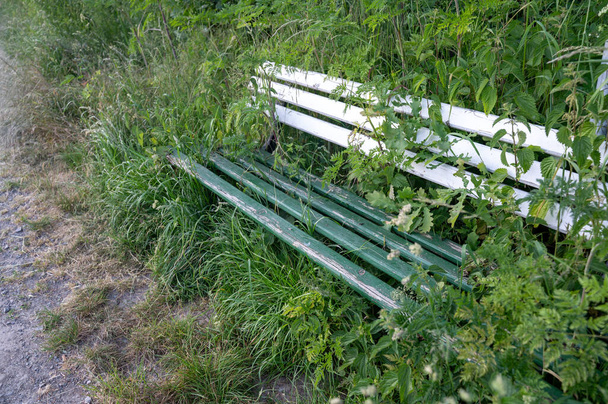 Stara ławka porośnięta roślinami w zielonej naturze - Zdjęcie, obraz