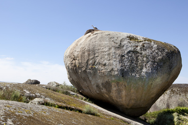 Πελαργοί και πέτρες. Φυσικό πάρκο του Barruecos, Ισπανία  - Φωτογραφία, εικόνα