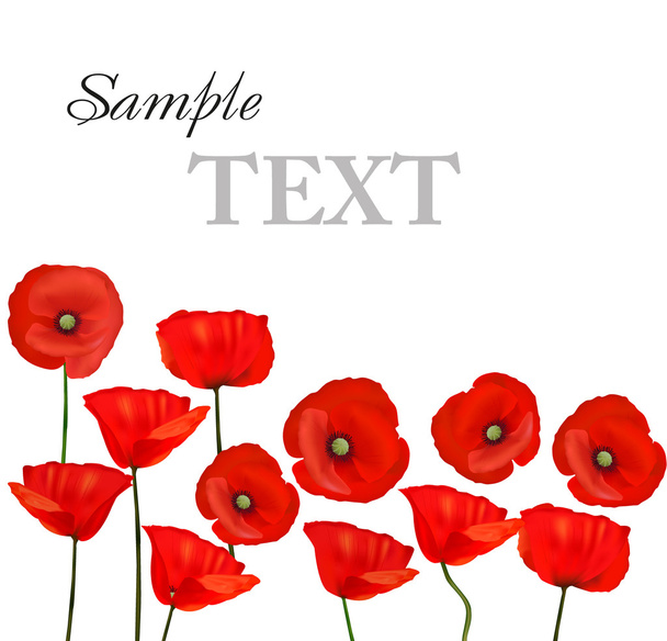 Background with beautiful red poppies. Vector illustration - Διάνυσμα, εικόνα