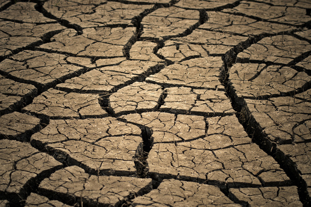 ξηρού καιρού - Φωτογραφία, εικόνα
