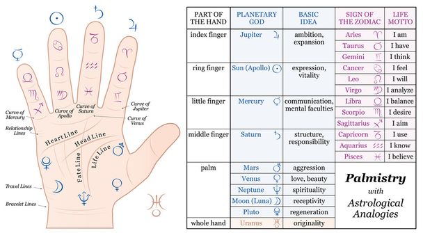 Palmistry Astrología Gráfico Analogías Básicas
 - Vector, imagen
