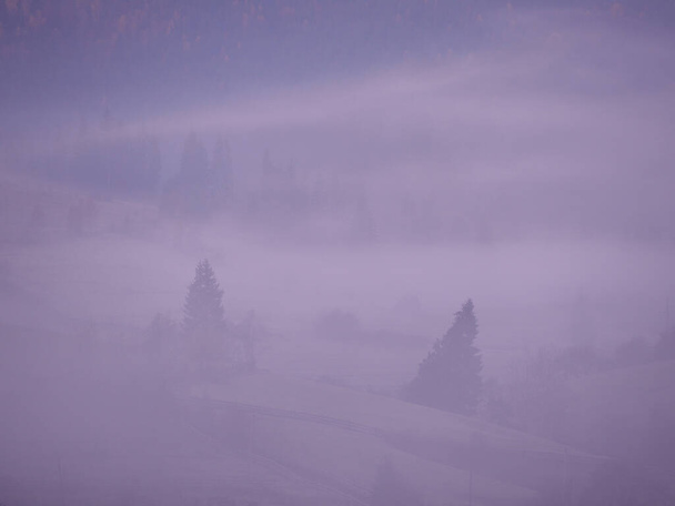 A köd a Kárpát-hegység  - Fotó, kép