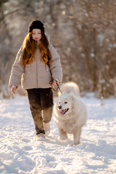 Uma menina caminha com seu amado animal de estimação Samoyed no inverno na margem de um lago no parque. Caminhando o cão no inverno. - Foto, Imagem
