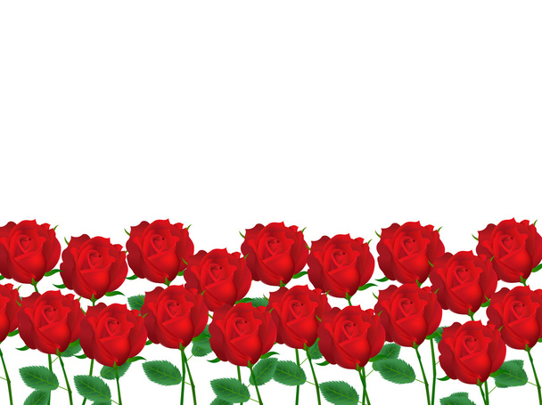 Rose flower background - Vector, Image