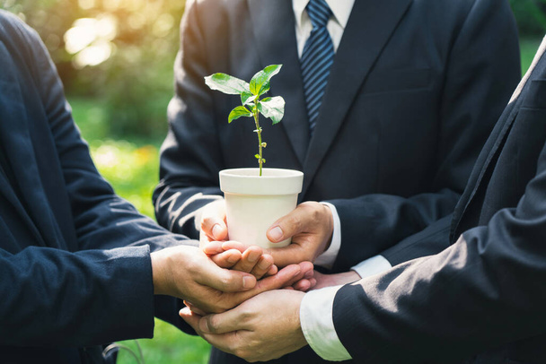 Earth Day Környezetvédelmi, Üzleti kezek kezében egy növény pot zöld növények a földben együtt szimbolizálja a zöld üzleti vállalat és a zöld üzleti együttműködés. - Fotó, kép