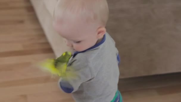 Boy playing with his pet - Video