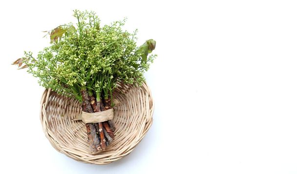 νωπού ακατέργαστου ένα λουλούδι Medicinal neem και φύλλα ή, Σιαμαία, neem, neem δέντρο, Nim, Margosa, Κινίνη, (Azadirachta indica) απομονώσει σε ένα ψάθινο καλάθι.Υγιή λαχανικά, συστατικά τροφίμων και φυτικά - Φωτογραφία, εικόνα