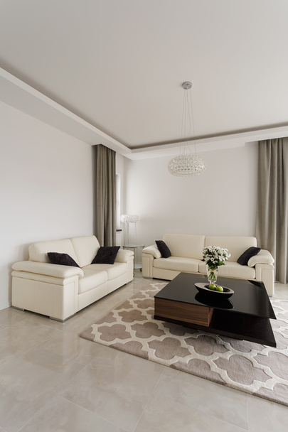 Sitting room in luxury style - Фото, изображение