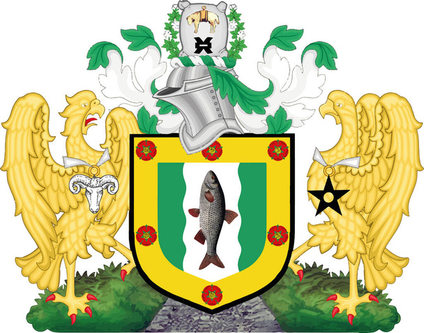 Wappen des METROPOLITISCHEN BOROUGH VON ROCHDALE, GREATER MANCHESTER - Vektor, Bild