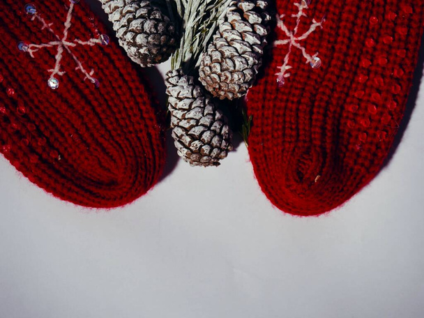 Inverno cone de pinho e vermelho malha meias de Natal médio tiro plano colocar sobrecarga tiro foco seletivo - Foto, Imagem