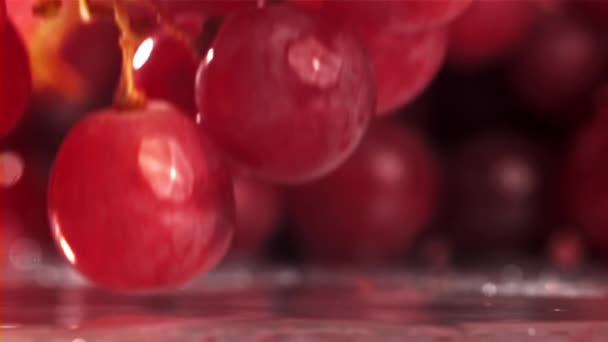 L'uva rossa cade con spruzzi su un tavolo umido. Girato su una telecamera ad alta velocità a 1000 fps. Filmati FullHD di alta qualità - Filmati, video