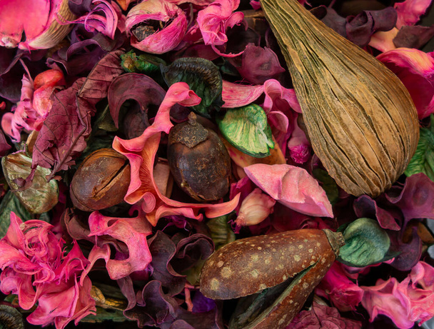 Decoratieve aromatherapie achtergrond, mengsel van natuurlijke droge vruchten. Een abstracte geurige paars-roze mix van houtkrullen, noten en schelpen. Verpakking, behang. - Foto, afbeelding