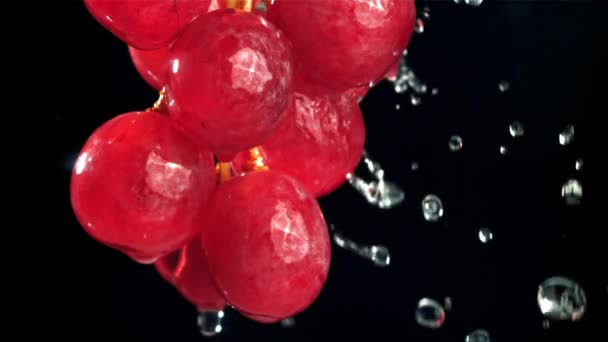 Raindrops falling on red grapes on black background. Filmed on a high-speed camera at 1000 fps. High quality FullHD footage - Imágenes, Vídeo