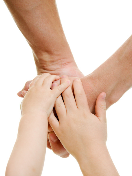 Hands the baby and parents on a white background. - 写真・画像