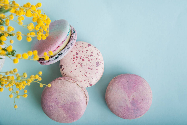 Pink macaroons and branches of mimosa on blue background close-up and empty space. - Foto, immagini