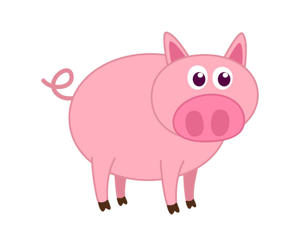 A cute and young pink pig on a white background - vector - Vector, Image
