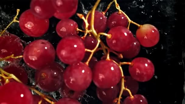 Red grapes fall with splashes into the water. Top view. Filmed on a high-speed camera at 1000 fps. High quality FullHD footage - Footage, Video