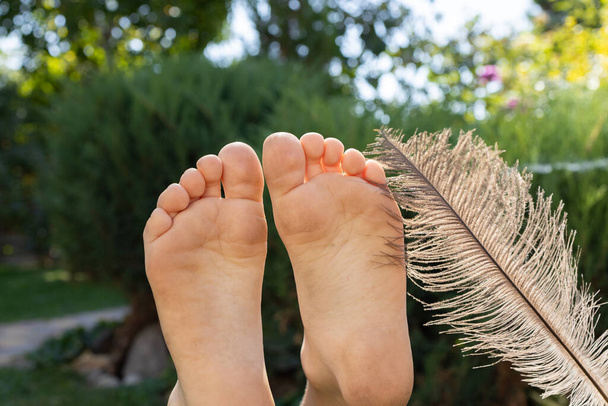 Close-up de pés descalços de uma criança sendo cócegas por uma grande pena de avestruz macia cinza, retroiluminada pela luz solar. conceito de relaxamento. Diversão tempo de família juntos, infância feliz - Foto, Imagem