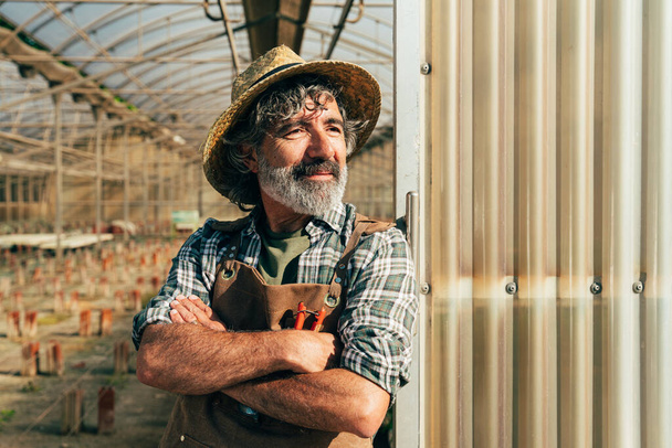 Landwirt Senior arbeitet in seinem Hof und Gewächshaus. Konzept über Landwirtschaft, Farnindustrie und gesunden Lebensstil im Alter - Foto, Bild