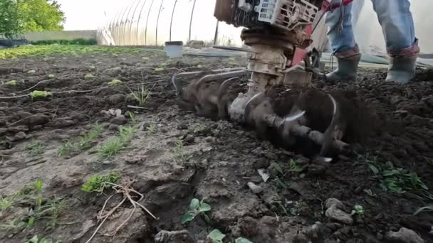 Rolnik uprawia glebę z ręcznym pługiem silnikowym na początku sezonu wiosennego. - Materiał filmowy, wideo
