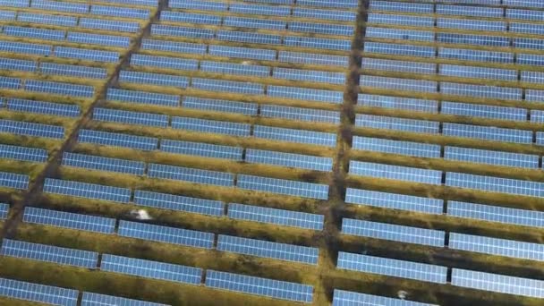 Vista aérea de una gran central eléctrica con muchas filas de paneles fotovoltaicos solares para producir electricidad limpia. Electricidad renovable con cero emisiones - Imágenes, Vídeo