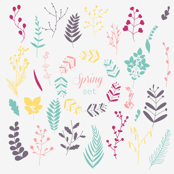 Collection of spring flowers and leaves - Vector, Image