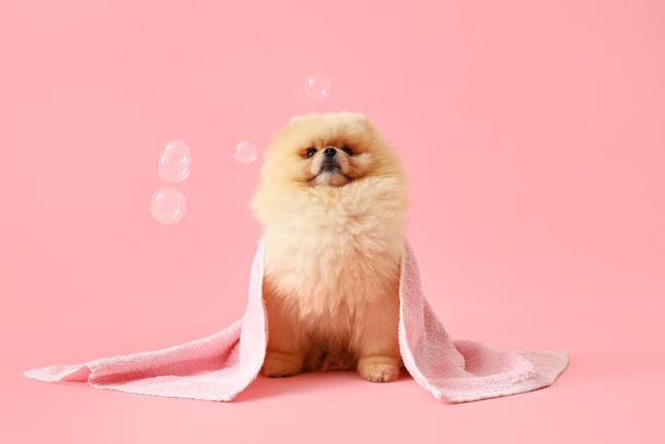 Netter Hund mit Seifenblasen und Handtuch auf rosa Hintergrund - Foto, Bild