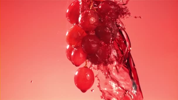 Red wine runs down a branch of a grape. Filmed on a high-speed camera at 1000 fps. High quality FullHD footage - Filmati, video
