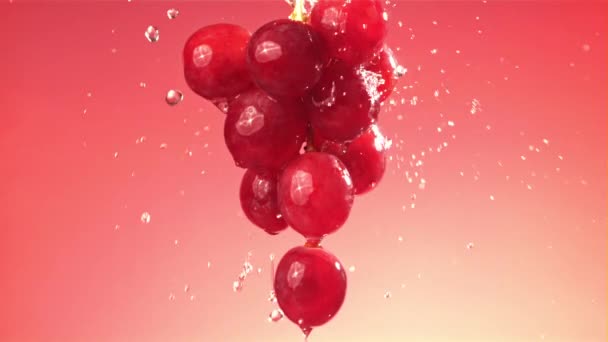 Raindrops falling on a branch of red grapes on a pink background. Filmed on a high-speed camera at 1000 fps. High quality FullHD footage - Πλάνα, βίντεο