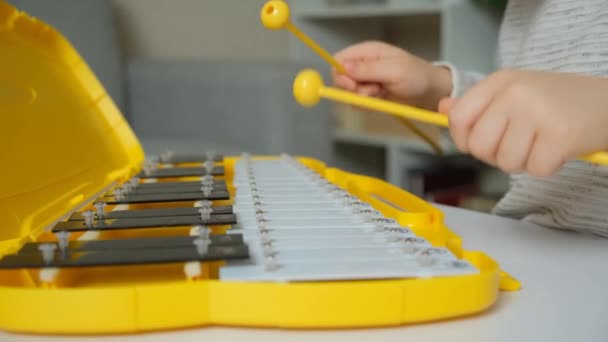 Playing with sticks on a metallophone. Child playing percussion musical instrument, hands close-up - Footage, Video