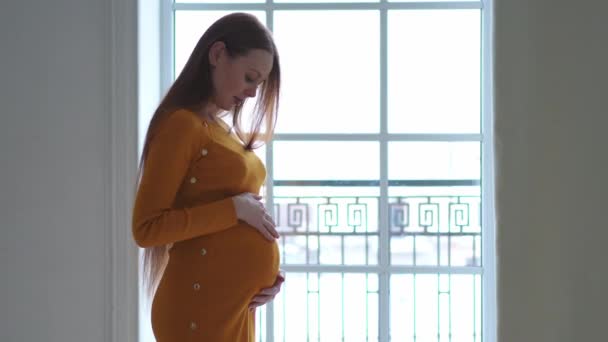 Ciąża macierzyństwo ludzie oczekują przyszłości. Ciężarna kobieta z dużym brzuchem stojąca przy oknie w domu. Dziewczyna przytula się do brzucha ciesząc się ciążą. Czułość macierzyństwa rodzicielstwo nowa koncepcja życia - Materiał filmowy, wideo