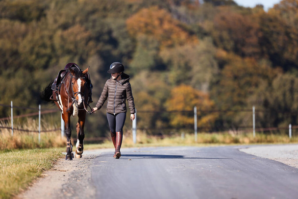 Νεαρή γυναίκα περπατά σε ένα μονοπάτι σε μια ηλιόλουστη φθινοπωρινή μέρα και οδηγεί το άλογό της για μια βόλτα. Ντυμένος με ρούχα ιππασίας και άλογο έτοιμο σελωμένο. Φωτογραφία σε μορφή τοπίου με φόντο το φθινόπωρο του δάσους. - Φωτογραφία, εικόνα