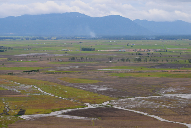 Вид с воздуха на рисовые поля в дельте Меконга
 - Фото, изображение