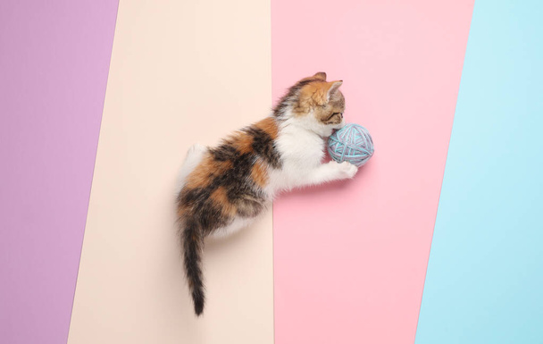 Little cute playful kitten plays with ball of thread on pastel background. Top view - Photo, Image