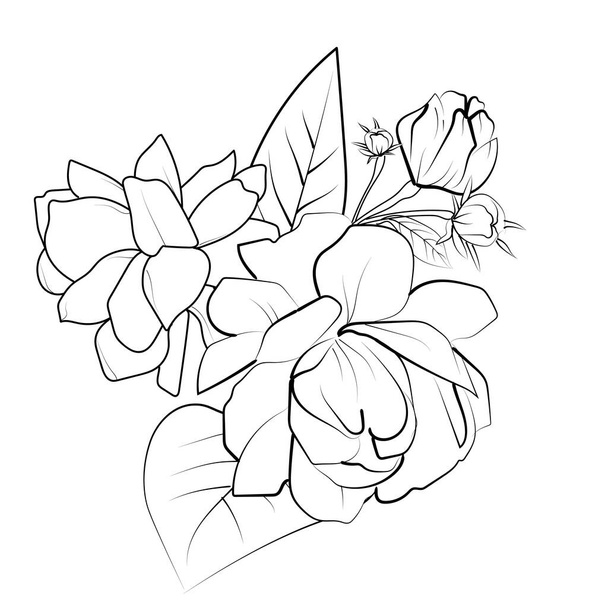 Kytice s listy a květy, kresba botanického jasmínu, vědecká jasmínová botanická ilustrace, hvězdicová jasmínová botanická ilustrace, jasmínová květinová kresba, jasmínová kresba tužkou - Vektor, obrázek