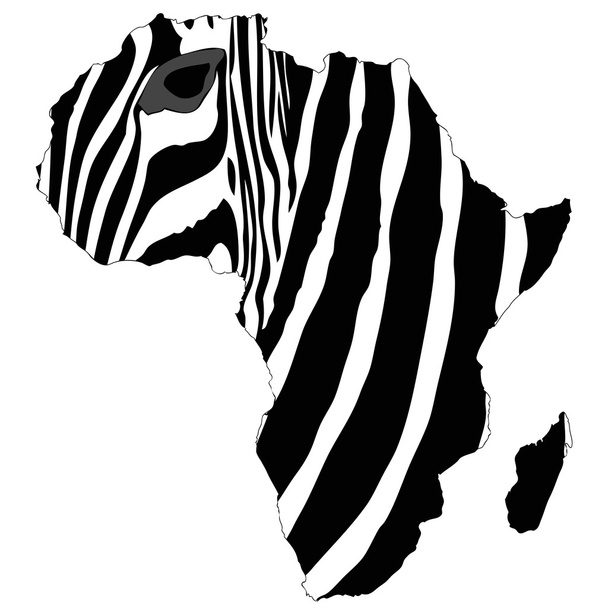 Afrika zebra - Vektor, kép
