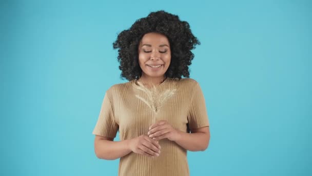 Een zwarte vrouw houdt oren van tarwe in haar handen en lacht naar de camera. Mooie vrouw met krullend haar poserend op een blauwe achtergrond. Hoge kwaliteit 4k beeldmateriaal - Video