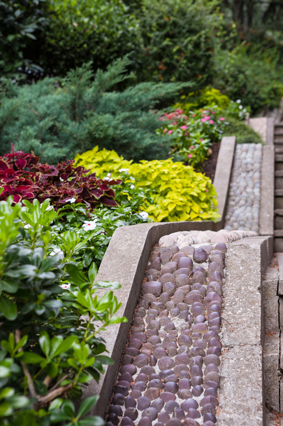 Güzel subtropic Bahçe ve taş merdivenle - Fotoğraf, Görsel