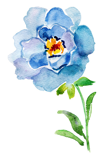 Blaue Aquarellrose - Foto, Bild