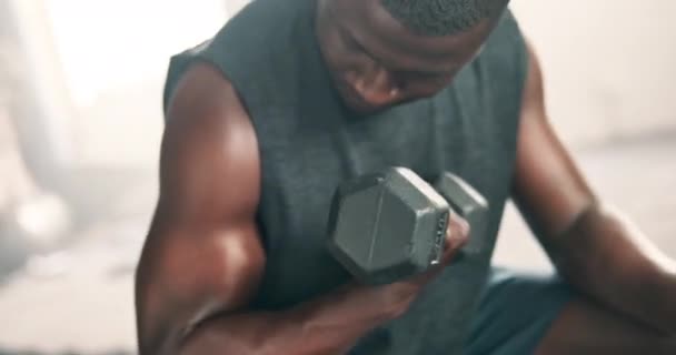 Fitness, hands or black man training with dumbbells, powder or power in workout for wellness at gym. Closeup, lifting weights or healthy sports athlete in exercise for biceps muscle or development. - Footage, Video