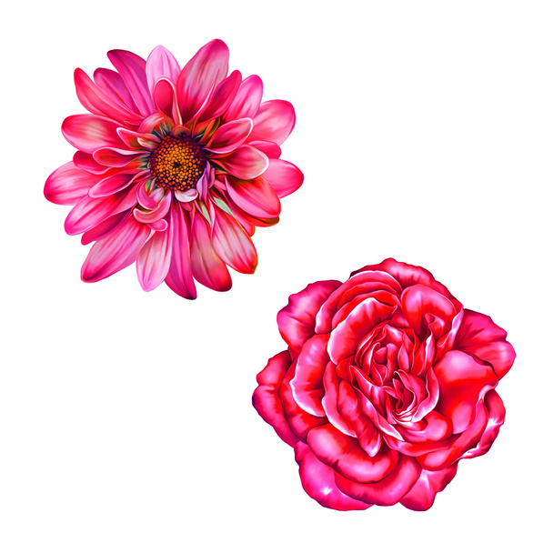 Pink  Rose  and Mona Lisa flowers - Foto, immagini