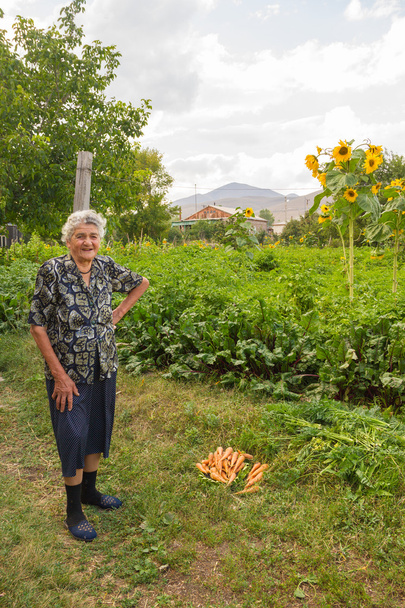 Oma staat in hun gebied, ze verzameld wortelen - Foto, afbeelding