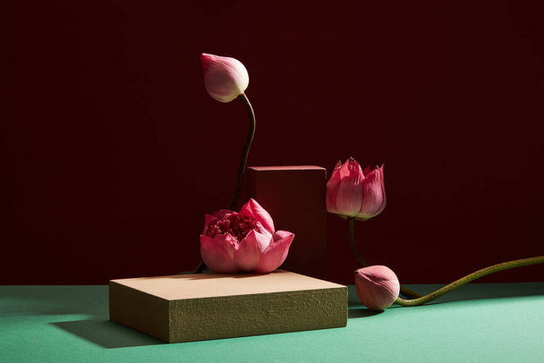 Několik lotosových bublin a lotosových květů (Nelumbo nucifera) s prázdným kamenným pódiem pod světlem pro prezentaci produktu - Fotografie, Obrázek