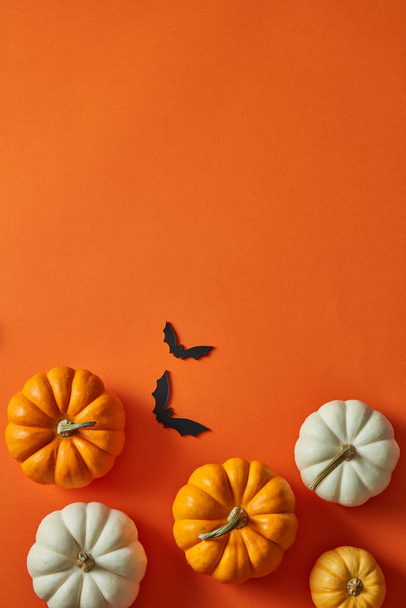 Halloween kurpitsat koristeltu oranssi tausta bat tarroja. Tyhjä tila tekstin tai tuotteiden lisäämiseksi - Valokuva, kuva