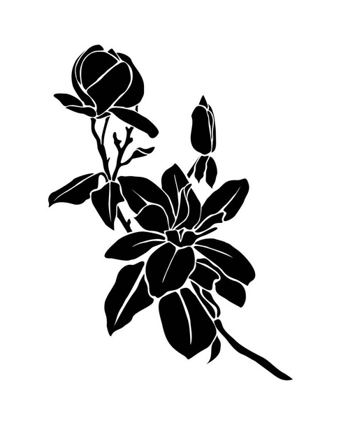 Czarna sylwetka ozdobnej świeżo kwitnącej gałęzi magnolii z liśćmi i kwiatami. Ręcznie narysowany zarys ikony kwiatów. Ilustracja monochromatyczna wektora izolowana na białym tle. - Wektor, obraz