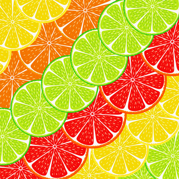 Citrus segment achtergrond - Vector, afbeelding
