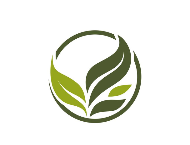 Эко логотип. органический, растительный и природный символ. изолированное векторное изображение в плоской конструкции - Вектор,изображение