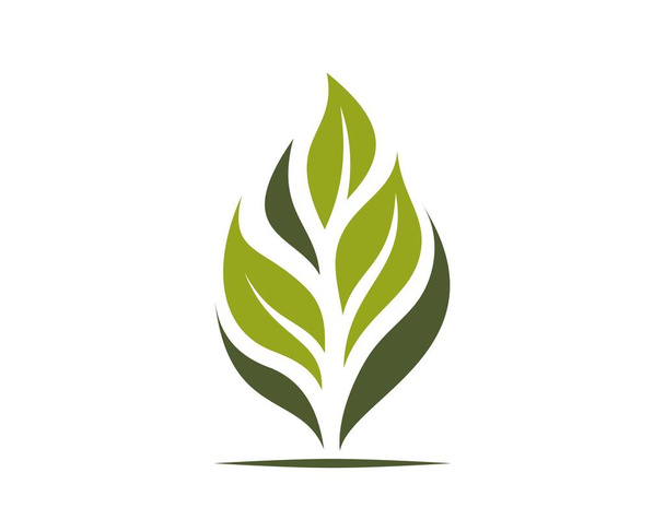 yeşil bitki simgesi. Eko yaprağı, bahar ve doğa sembolü. Düz tasarımda izole vektör illüstrasyonu - Vektör, Görsel