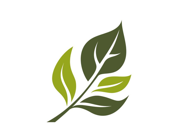 icono de ramita verde. planta, primavera y símbolo orgánico. imagen vectorial aislada en diseño plano - Vector, imagen