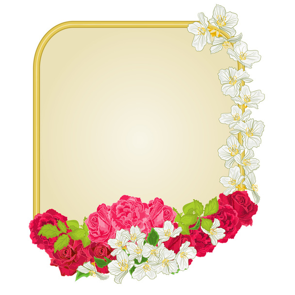 Golden frame with  roses and jasmine vector - Vector, Image